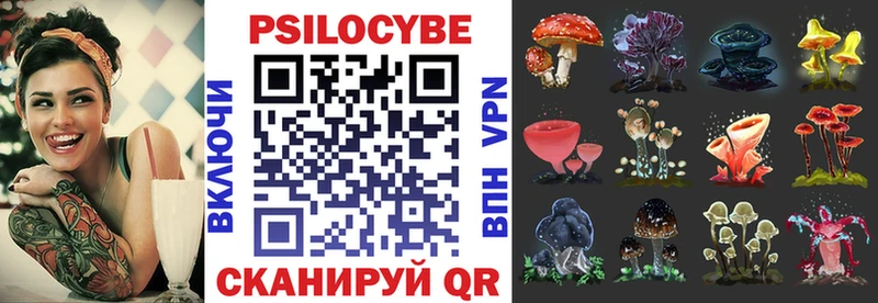 купить наркотики цена  Константиновск  Псилоцибиновые грибы Psilocybine cubensis 